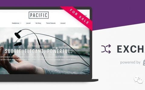 花一百萬購買一個Shopify獨立站是一種什么體驗？