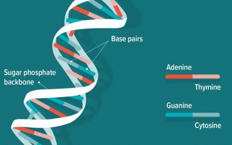 中國出海DTC品牌如何冷啟動(dòng)？