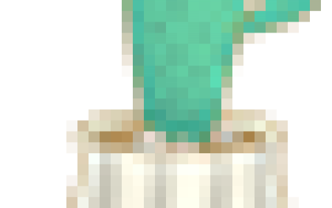 連續(xù)第8年?duì)I收增長(zhǎng)100%，這家年收654億的跨境大賣有望上市！