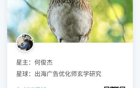 優化師的管理發展路線