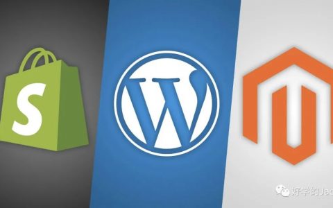 跨境獨(dú)立站爆品模式的運(yùn)營和團(tuán)隊(duì)架構(gòu)(4700字干貨)