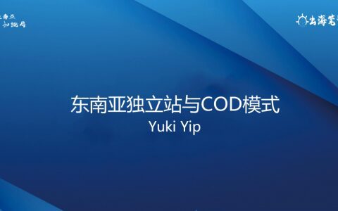 東南亞獨立站與COD模式丨操盤手面對面第19期精華
