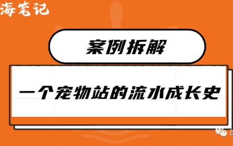 一個(gè)寵物站的細(xì)水長流史
