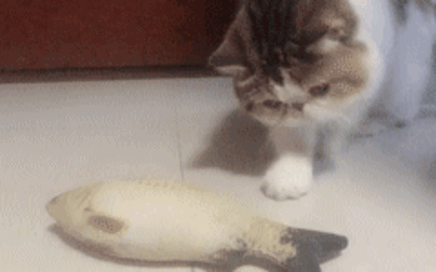 新的創作跨境電商老板們，請善待您的員工丨出海筆記